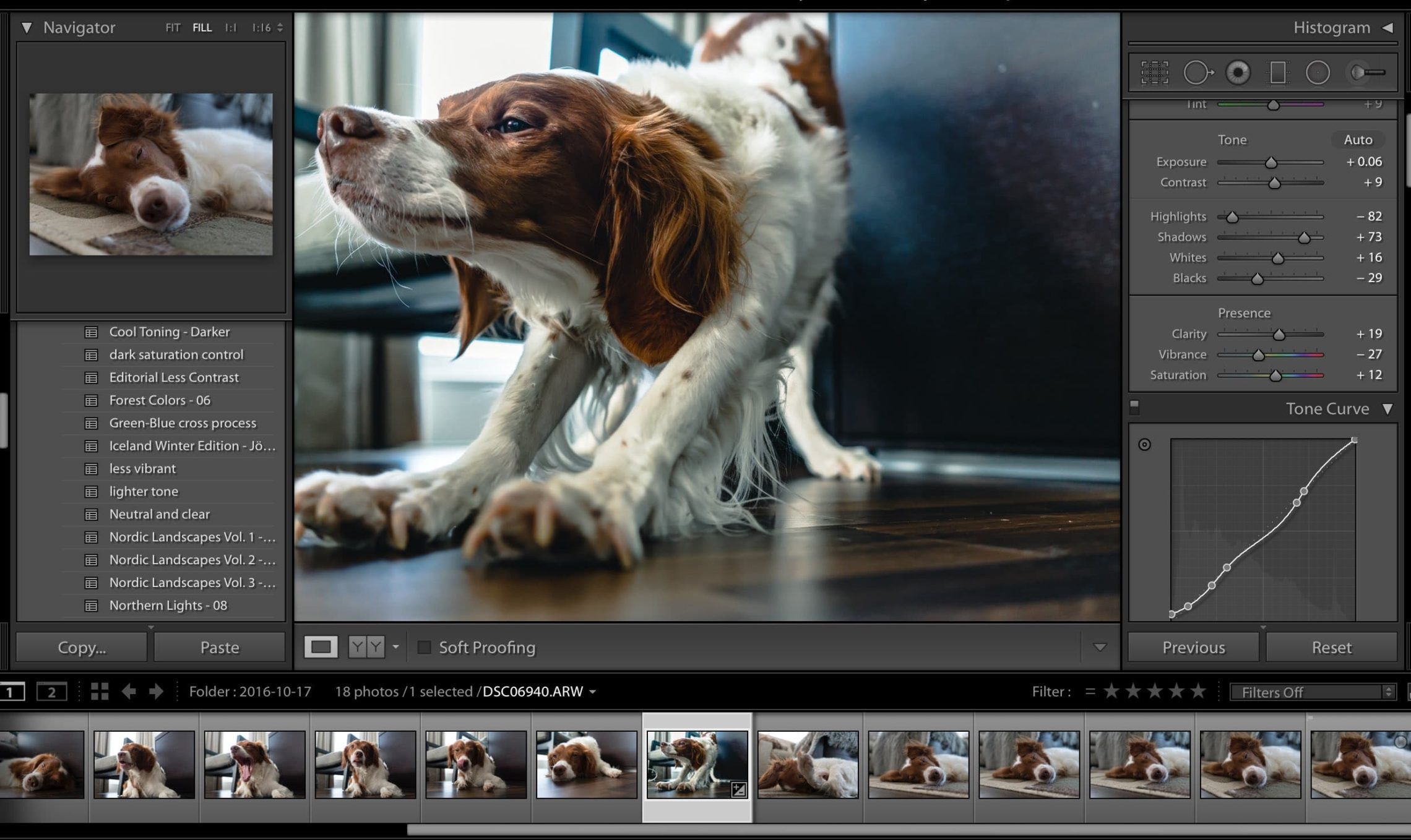 How To Create Custom Photo Filters with Lightroom Presets