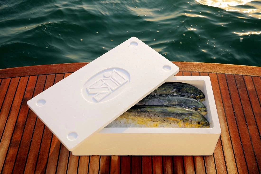 Styrofoam Boxes A Versatile and Affordable Packaging Solution