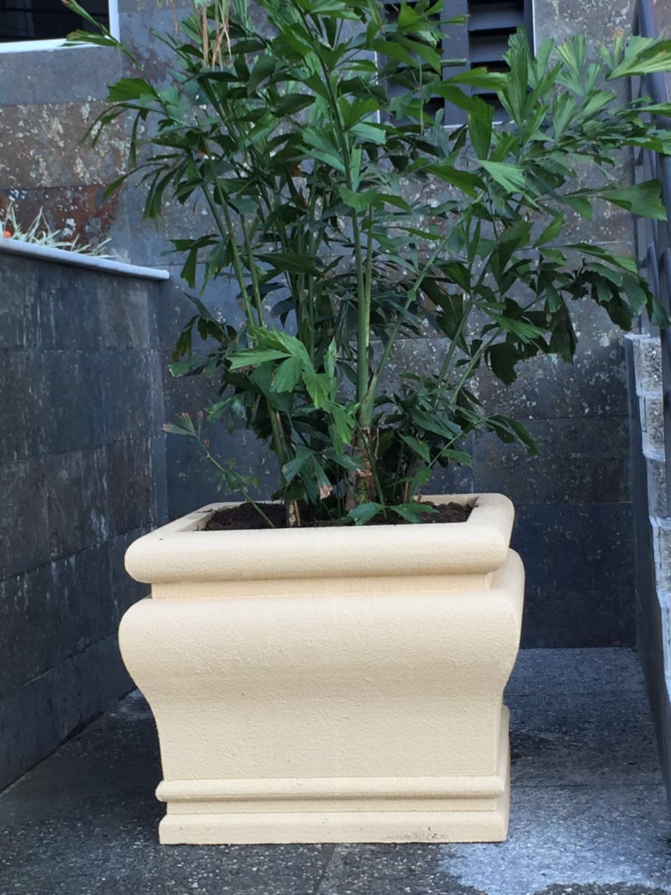 Styroforms Limited Mouldings Trinidad and Tobago Plant Pots