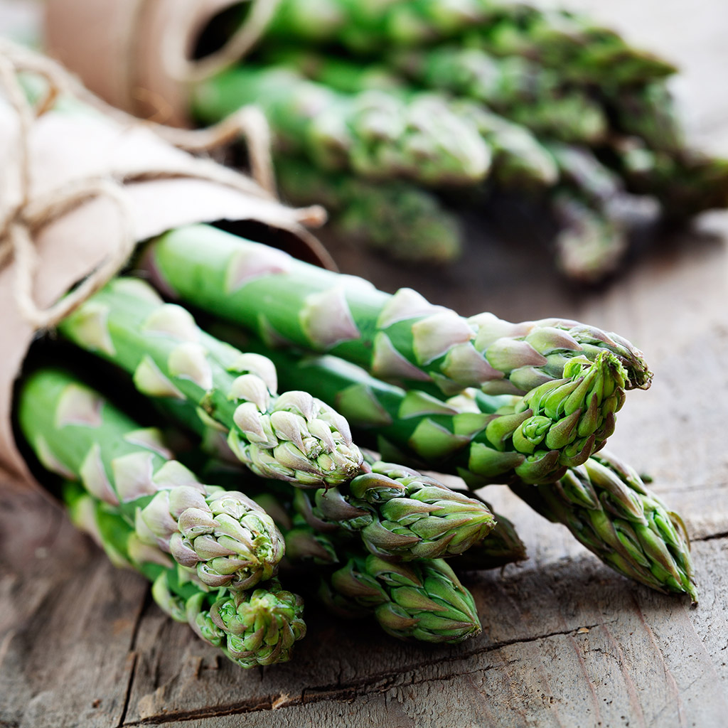 Asparagus Asparagus Officinalis SUBA SEEDS COMPANY Spa
