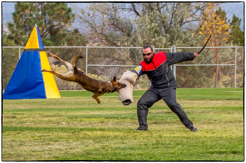 Agility Training Tucson MeaningKosh