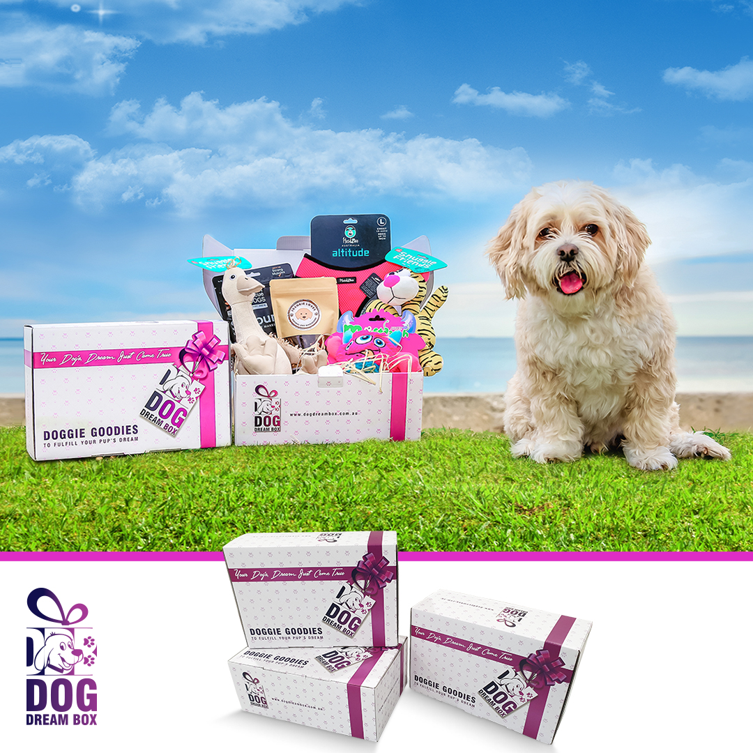 Dog Dream Box Subscription Box Australia