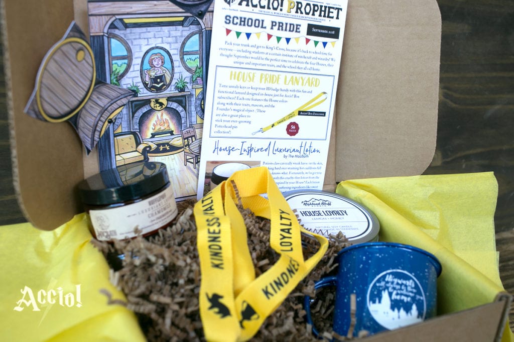 Best Harry Potter Subscription Boxes for any Potterhead!