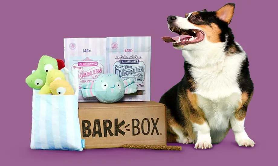 BarkBox Subscription Box Lifestyle