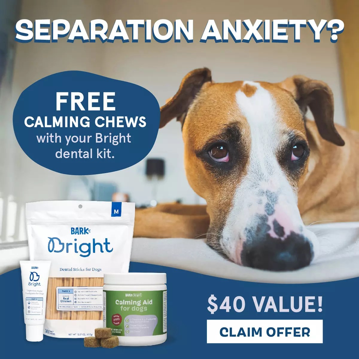 Bark Bright Coupon Code FREE Calming Supplement Subscription Box