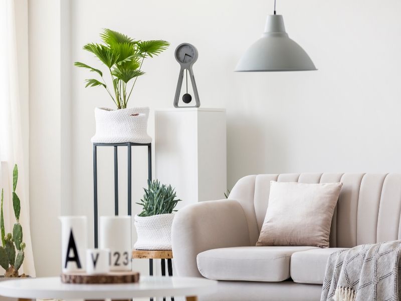 8 Best Tips for a Clean House Suburban Simplicity