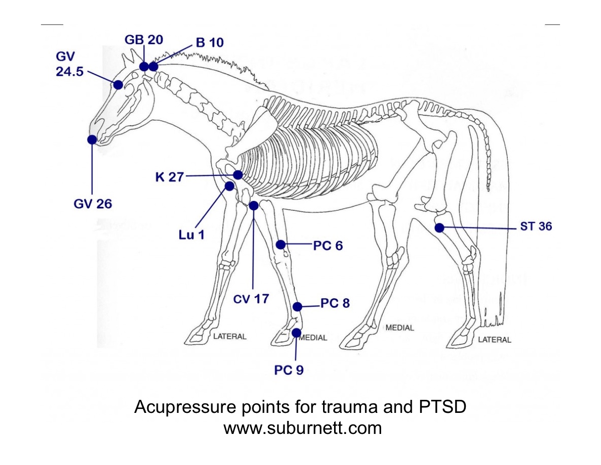 Acupressure Points for Trauma & PTSD