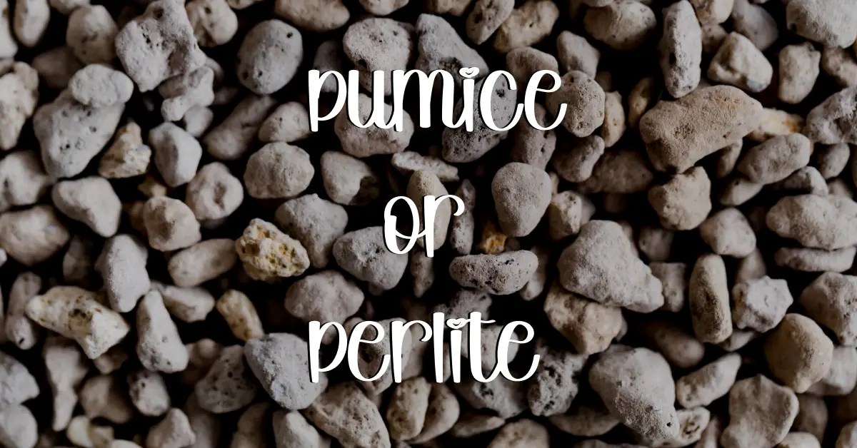 Pumice And Perlite What Are The Key Differences And Benefits? A Not So Definitive Guide.