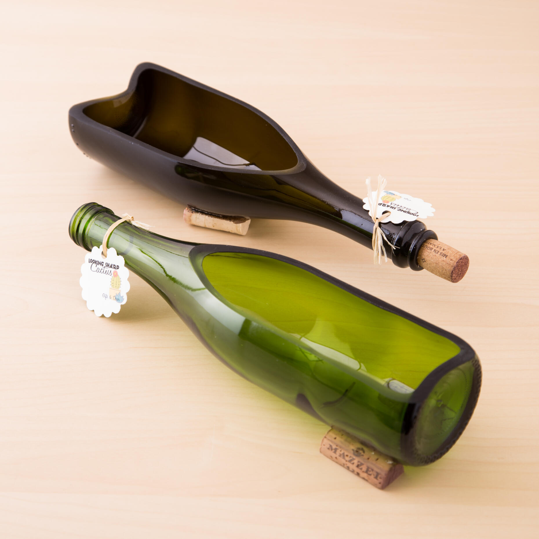 DIY Wine Bottle Planter for Succulents Succulents and Sunshine