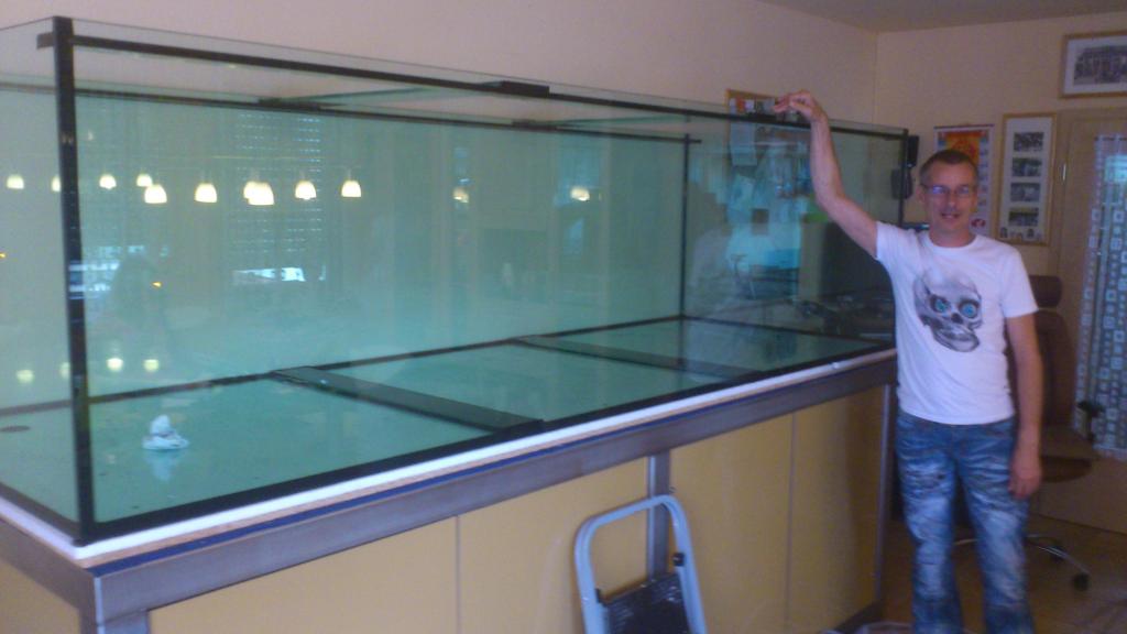 Aquarienbau und Terrarienbau