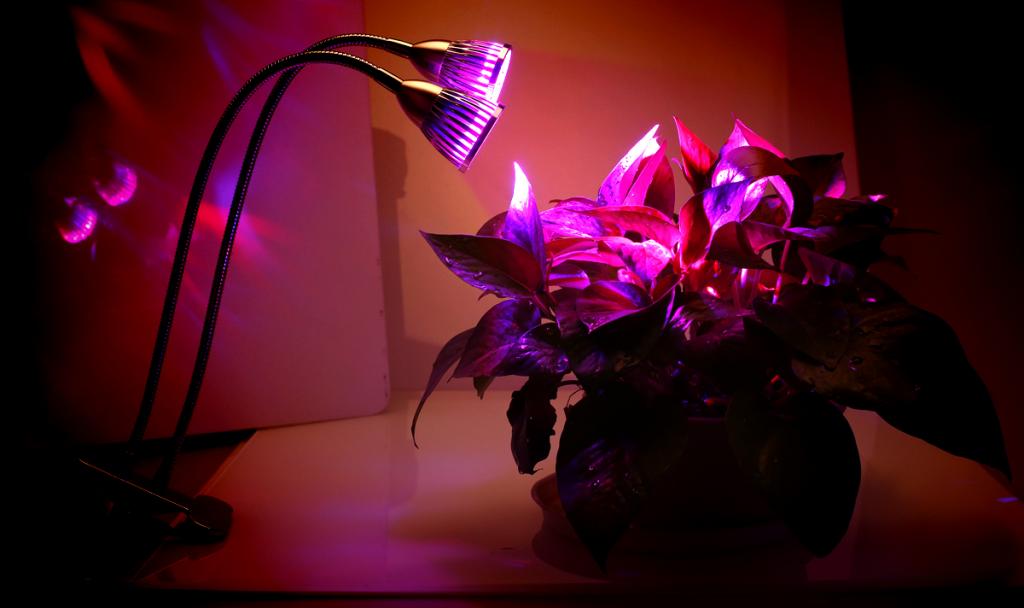 LED Grow Pflanzenlampe für Zimmerpflanzen 10w Doppelte