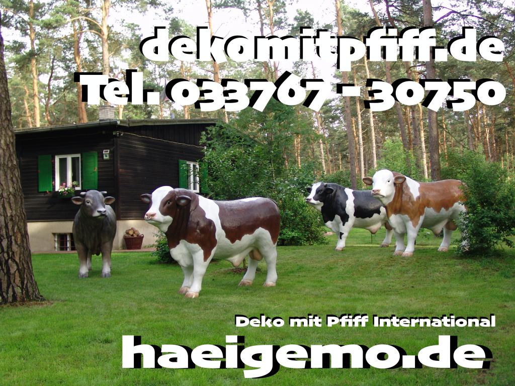wie pony möchtest du kaufen echt jetzt