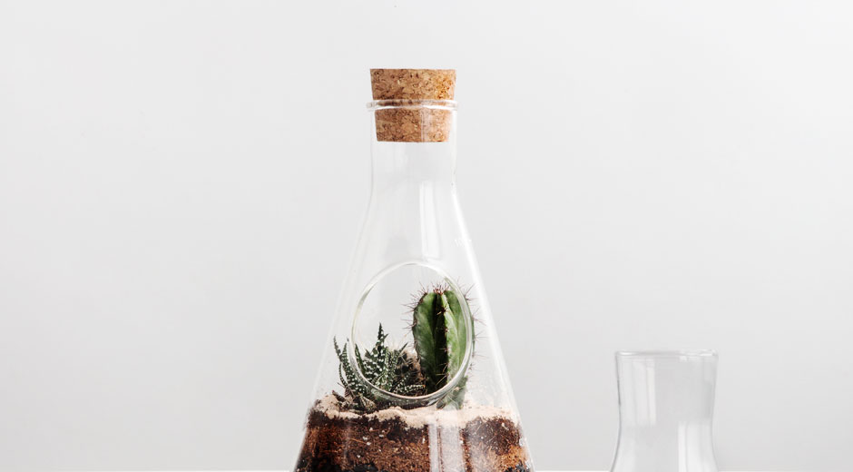Chemistry Terrarium Kit Custom labflask to home a mini indoor garden.