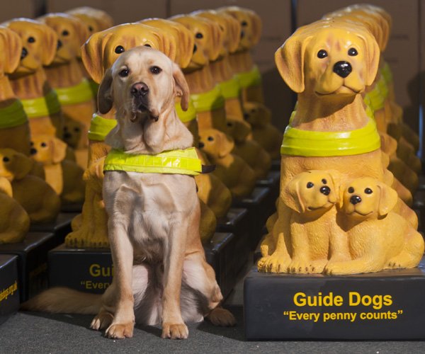 Guide Dogs for the Blind Guide Dogs SUCK UK