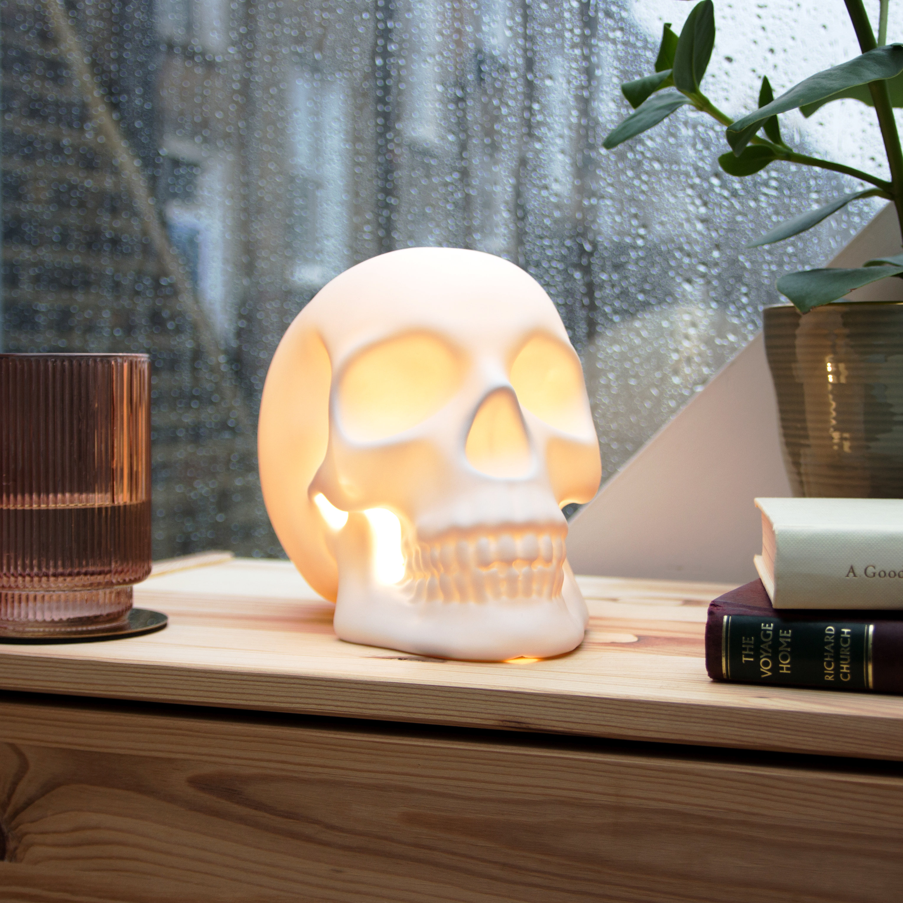 Skull Light Dead cool ceramic table lamp.