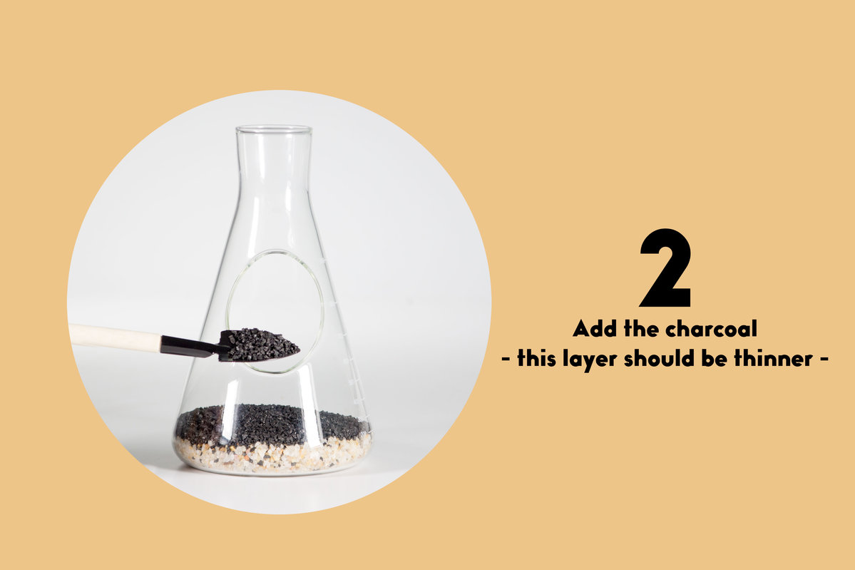 Chemistry Terrarium Kit Custom labflask to home a mini indoor garden.