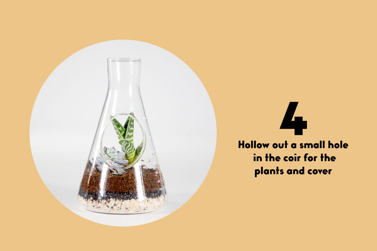 Chemistry Terrarium Kit Custom labflask to home a mini indoor garden.
