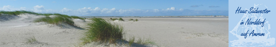 Haus Südwester auf Amrum