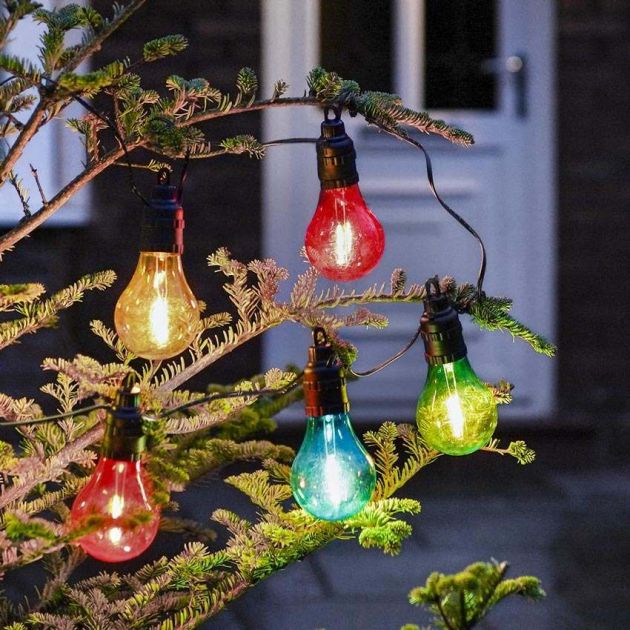 MultiColoured Festoon Lighting Sugar & Rind