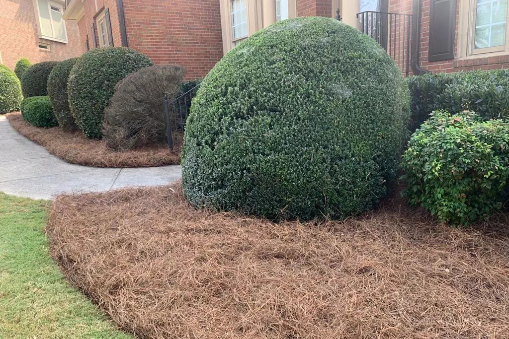 Mulching for Seasonal Changes Preparing Your Landscape for Spring and Fall