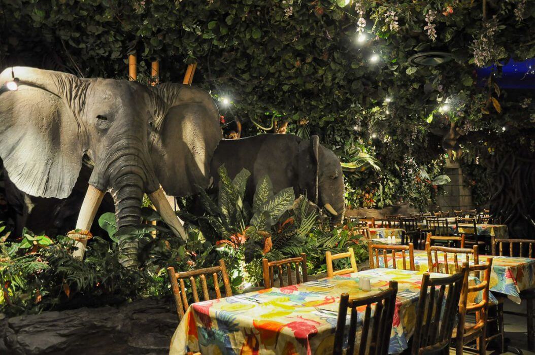 Rainforest Cafe Soho Sugarvine, The Nation's Local Dining Guide