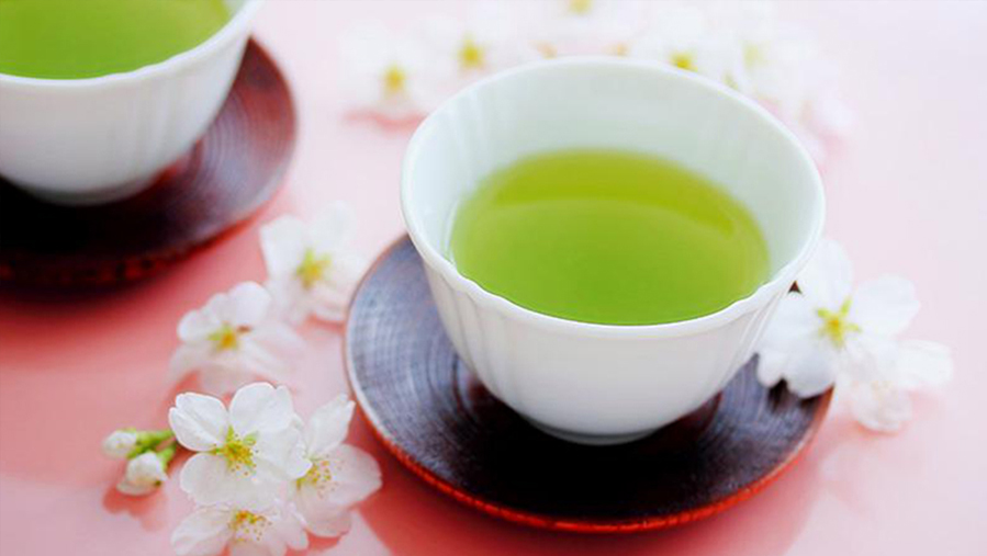 Hanami and Japanese Tea Culture Appreciating the Beauty of Cherry Blossoms Sugimoto Tea