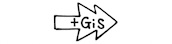 plusgis_logo