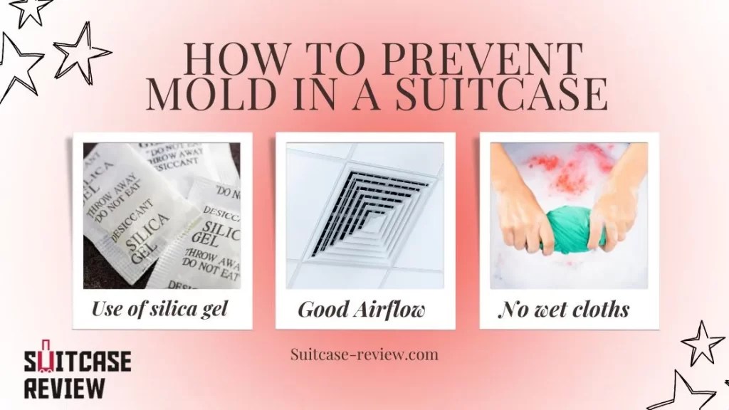 How to remove mold from suitcase or will luggage mold kill you