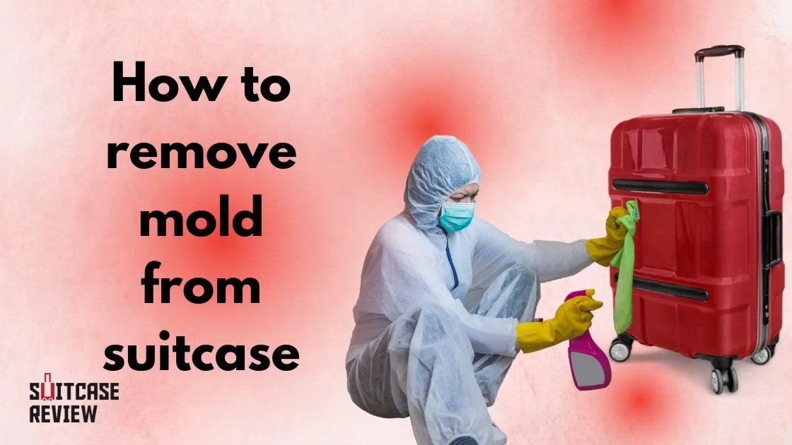 How to remove mold from suitcase or will luggage mold kill you