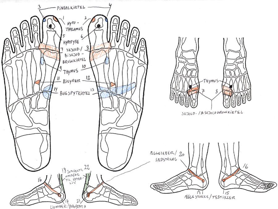 Zoner på foden Archives Sulcus