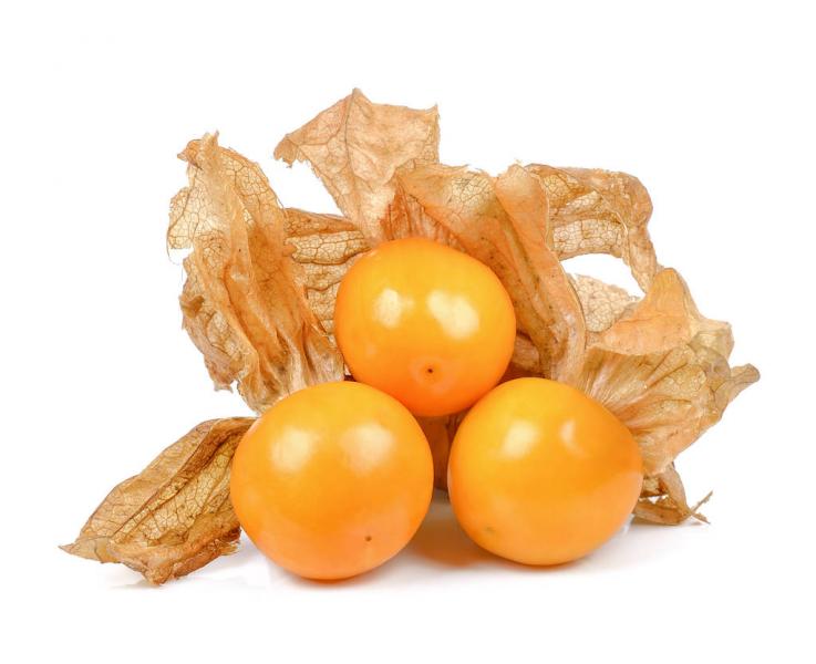 Semillas Golden Berry 4.600 Memoria Campesina