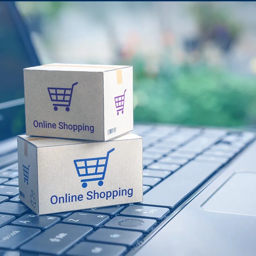 Cost effective Customer Support Services for Portals