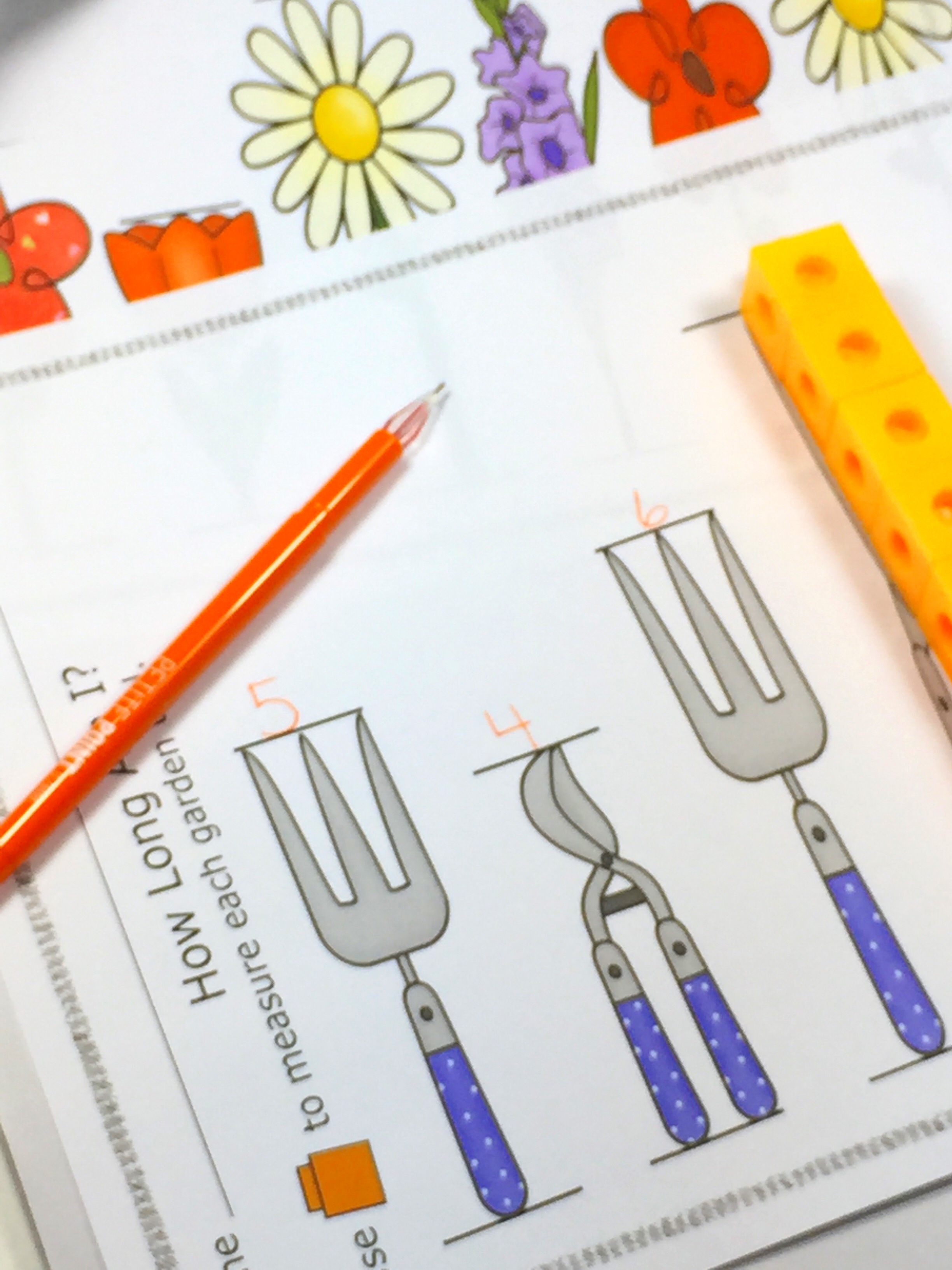 Measurement-Activities-first-Grade