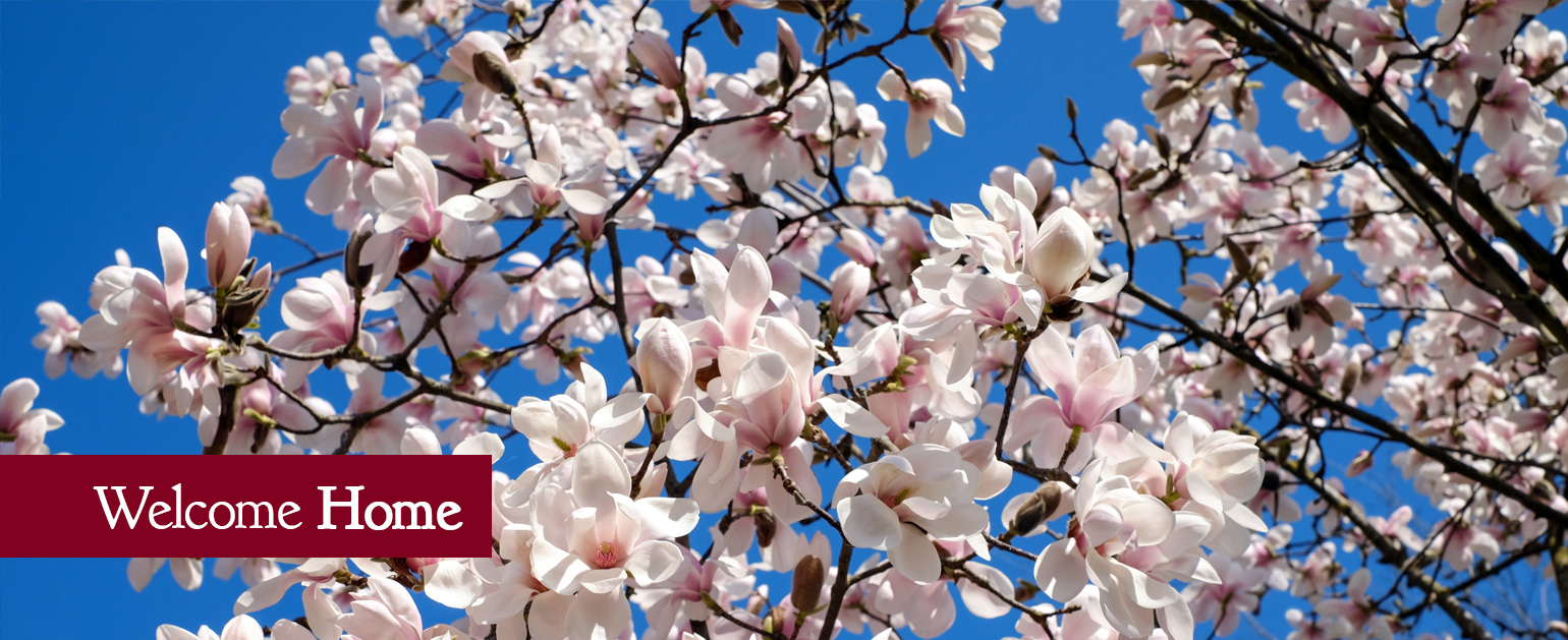 Summit, Mississippi Reach the Summit!