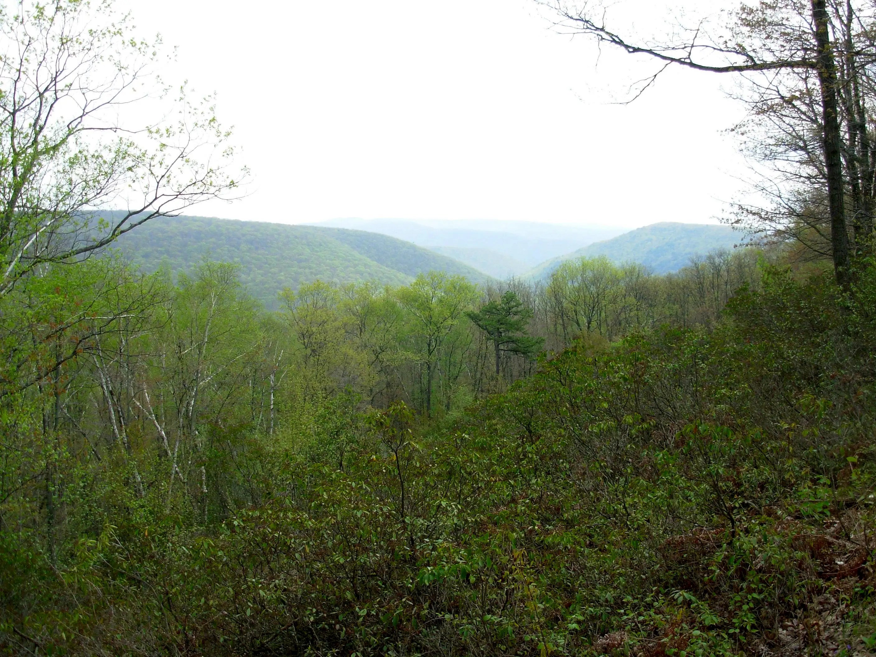 Mountains & Rocks in Pennsylvania SummitPost