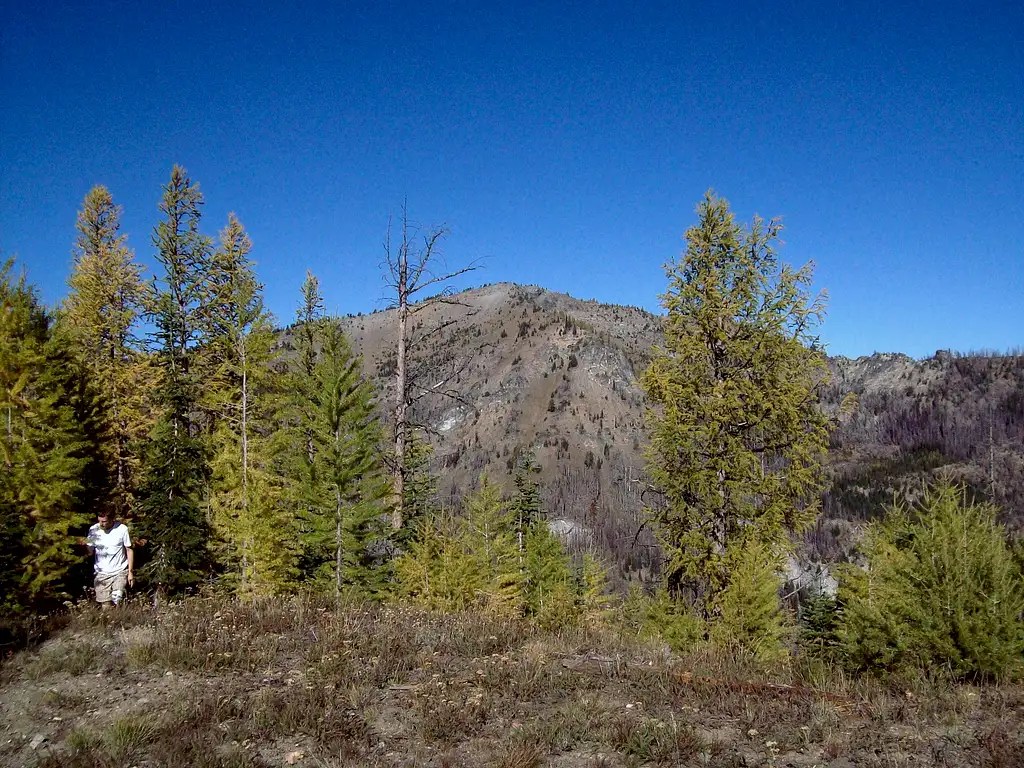 Crow Hill Photos, Diagrams & Topos SummitPost