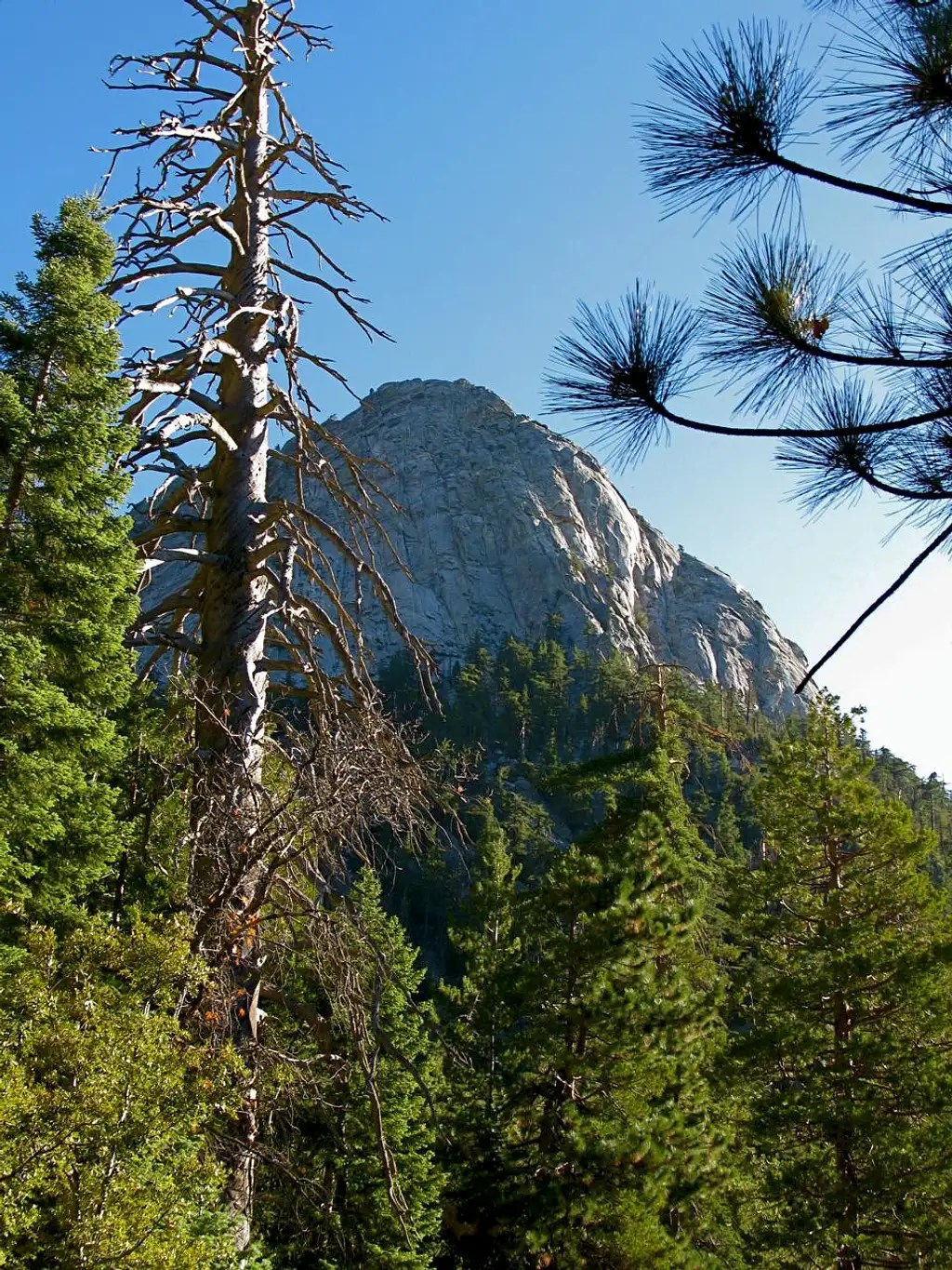 Lily Rock Photos, Diagrams & Topos SummitPost