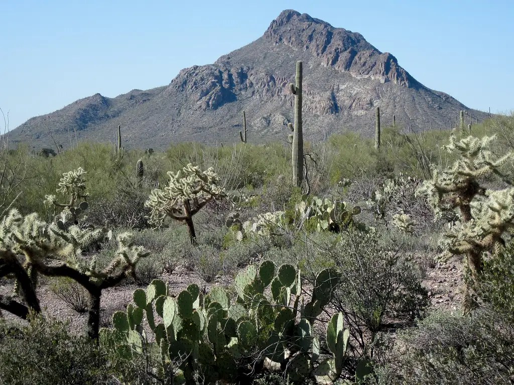 Tucson Mountains Climbing, Hiking & Mountaineering SummitPost