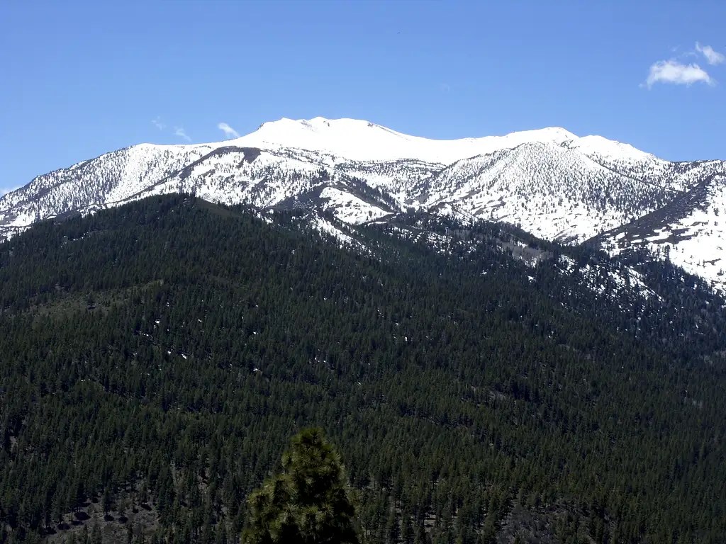 Mount Rose from the summit of Dry Pond Peak Photos, Diagrams & Topos SummitPost