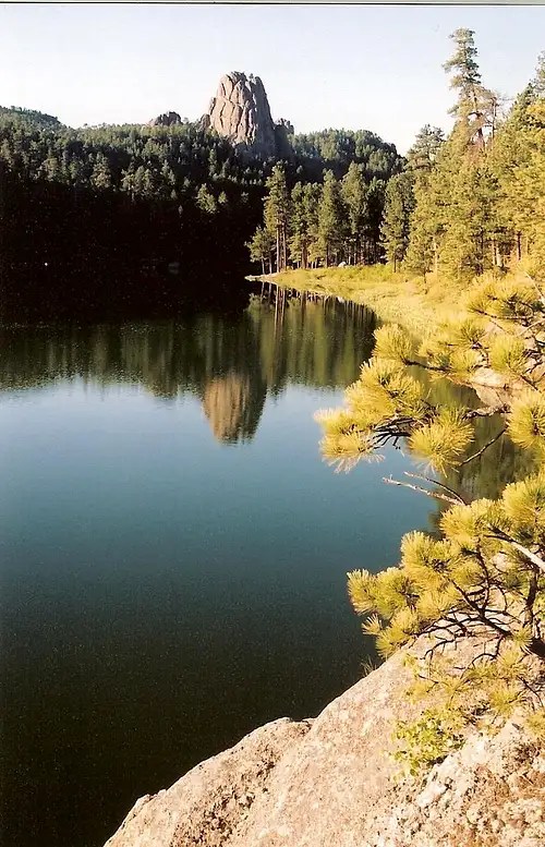 Ponderosa Pines Photo Albums SummitPost