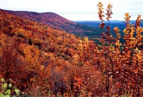 oklahoma fall foliage 2023 Oklahoma Fall Photos, Diagrams & Topos SummitPost