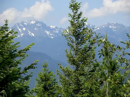 Mount Walker : Climbing, Hiking & Mountaineering : SummitPost