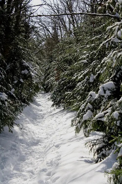 Mount Willard Climbing, Hiking & Mountaineering SummitPost