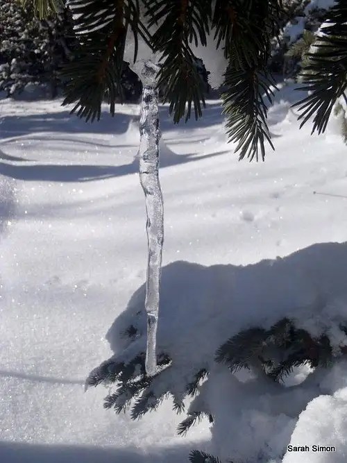 Hicks Mountain Climbing, Hiking & Mountaineering SummitPost