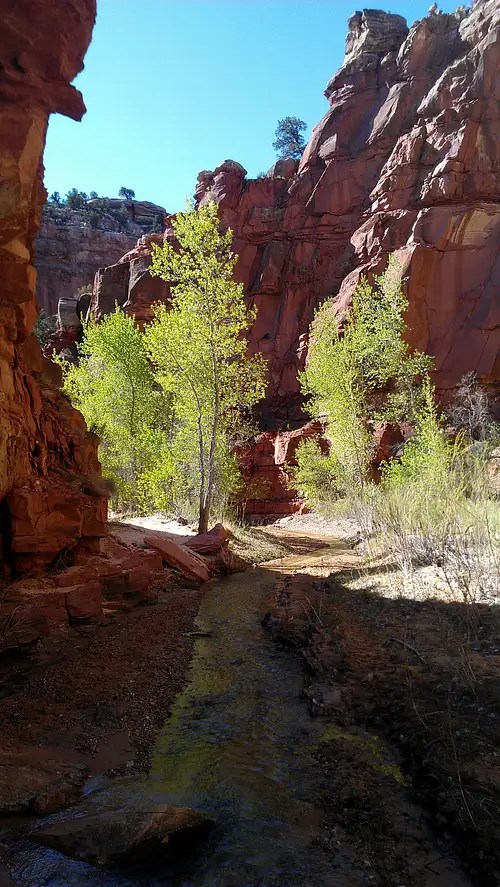Lower Hackberry Canyon, Utah Photos, Diagrams & Topos SummitPost
