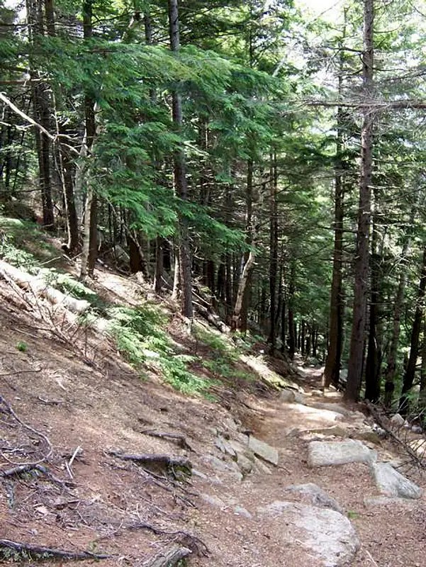 Mount Crawford Climbing, Hiking & Mountaineering SummitPost