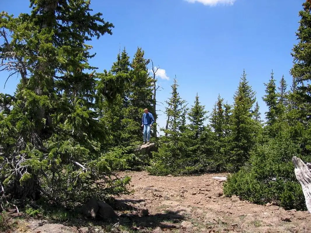 Bluebell Knoll/Boulder Mtn (UT) Climbing, Hiking & Mountaineering