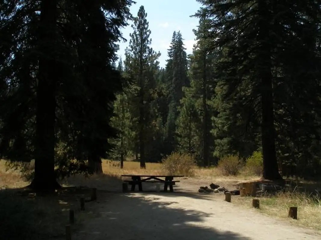 Campsite at Quaking Aspen Campground Photos, Diagrams & Topos