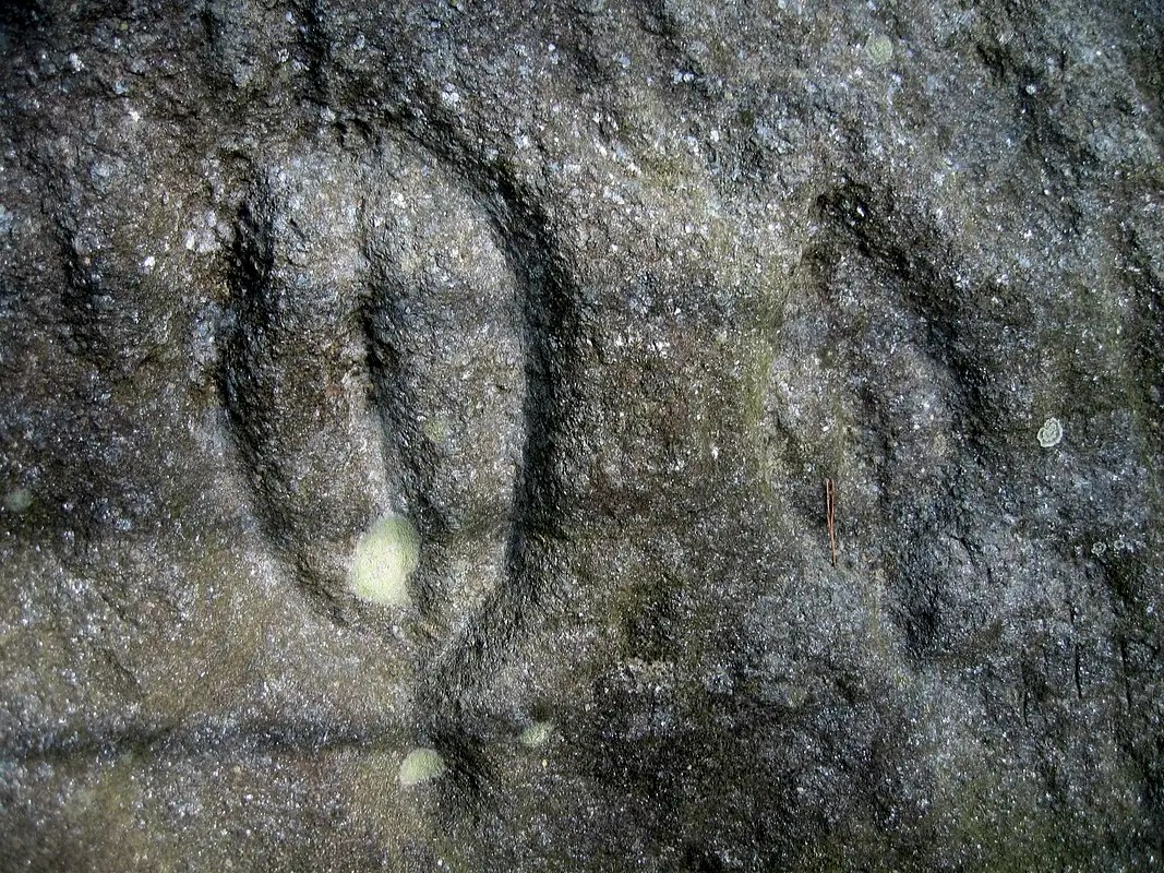 Trackrock Petroglyphs at Charlie Hansel blog