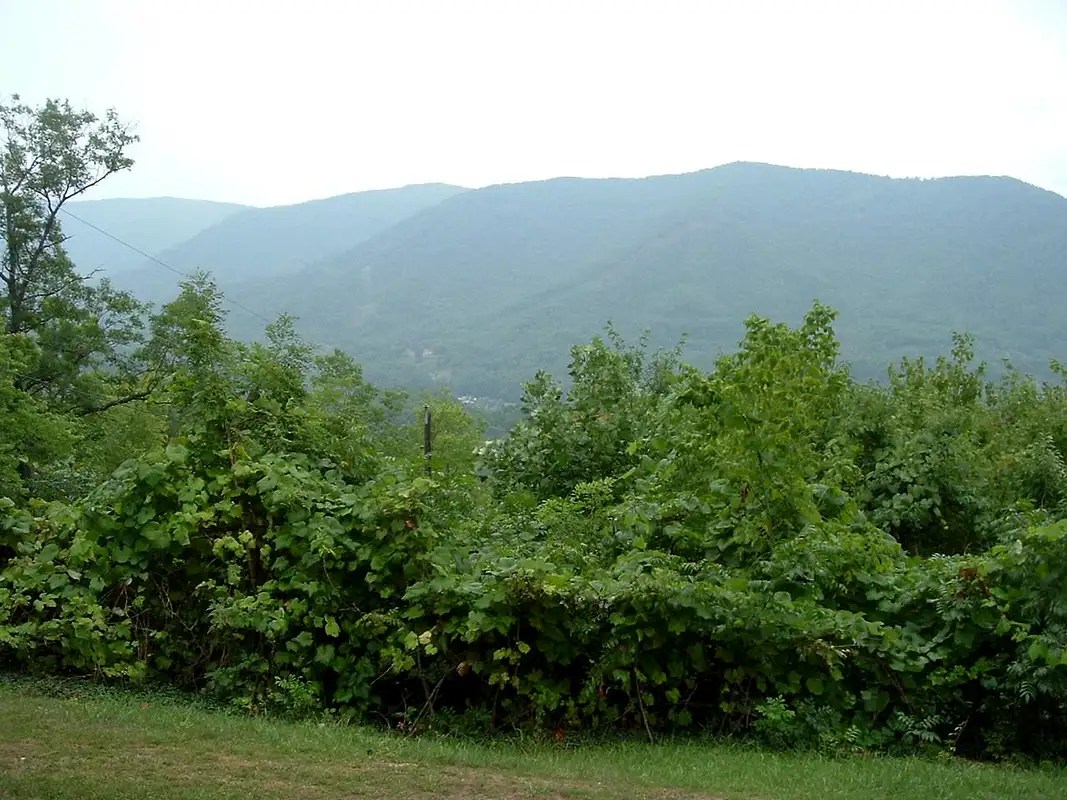 Black Mountain (KY) Climbing, Hiking & Mountaineering SummitPost